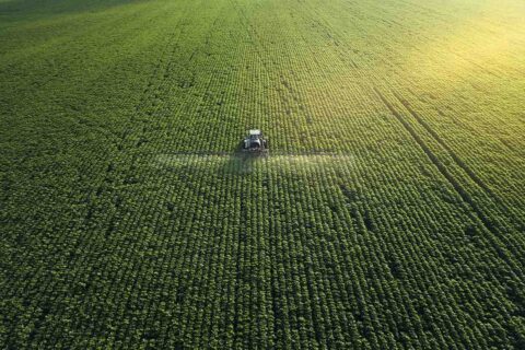 Les pesticides : hors de la ferme, hors de l’assiette ?