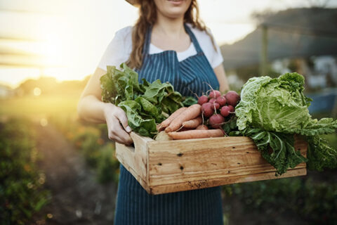 La stratégie Farm-to-Fork : ambition, complexité… et confusion