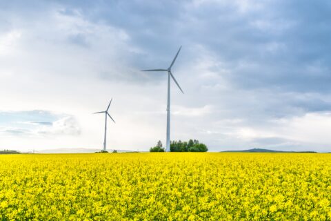 Le déploiement des énergies renouvelables en droit de l’UE : comment ménager la chèvre et le chou ?