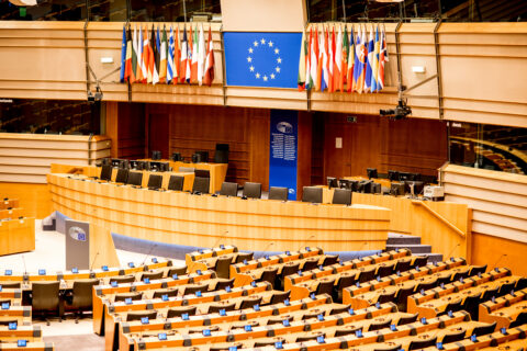 ACCORDS DE DURABILITÉ ET DROIT DE LA CONCURRENCE : VERS UNE INTÉGRATION PLUS AMBITIEUSE DANS L’UNION EUROPÉENNE